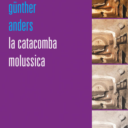 LA CATACOMBA MOLUSSICA-0