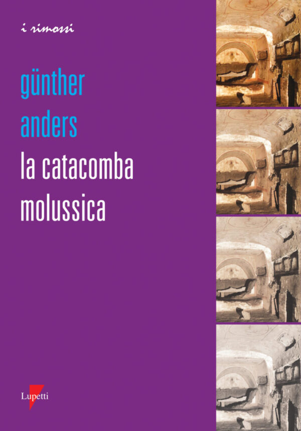 LA CATACOMBA MOLUSSICA-0